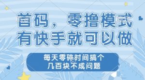 首码零撸项目，有快手就可以做，每天业务时间搞个几张不是问题【揭秘】-壹浩聊项目