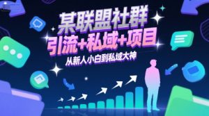 某联盟社群，引流+私域+项目，从新人小白到私域大神-壹浩聊项目