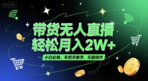 带货无人直播,轻松月入2W+,小白必做,手把手教学,无脑操作(附学习资料)-壹浩聊项目