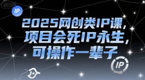2025网创类IP课,项目会死IP永生,可操作一辈子-壹浩聊项目