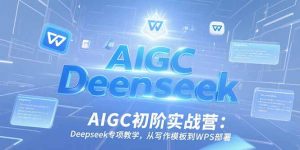 AIGC初阶实战营:Deepseek专项教学,从写作模板到WPS部署-壹浩聊项目