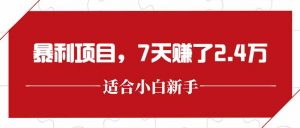最新暴利项目，每单收益轻松在300以上，7天赚了2.4万-壹浩聊项目