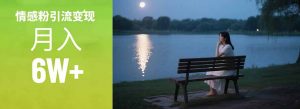 情感粉引流变现实操课：单月变现6w+，情感粉引流变现实操课-壹浩聊项目