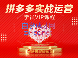 推易电商·拼多多实战运营课(更新2025月)-壹浩聊项目