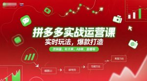 拼多多实战运营课,实时玩法,爆款打造,改销量,补大单,AB单,直播等(更新2025月)-壹浩聊项目