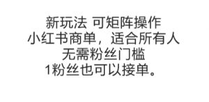 可矩阵操作，小红书商单新玩法，适合所有人，无需粉丝门槛，1粉丝也可以接单-壹浩聊项目