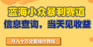 蓝海小众暴利赛道，信息查询，当天见收益，不讲玄学，7天搞了2万+-壹浩聊项目