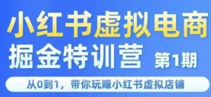 小红书虚拟电商掘金特训营第1期,从0到1,带你玩转小红书虚拟店铺-壹浩聊项目