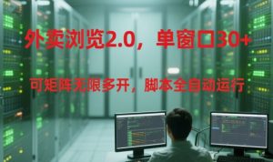 外卖浏览2.0,单窗口30+可矩阵无限多开,脚本全自动运行【揭秘】-壹浩聊项目