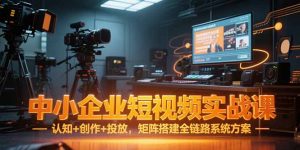 中小企业短视频实战课,认知+创作+投放,矩阵搭建全链路系统方案-壹浩聊项目