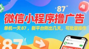 微信小程序看广告，单机一天87，新平台刚出几天，可批量操作，日入5张-壹浩聊项目