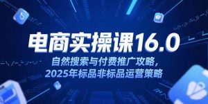 淘宝电商运营课16.0,自然搜索与付费推广攻略,2025年标品非标品运营策略-壹浩聊项目