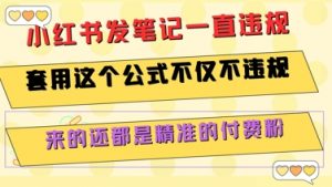 小红书发笔记一直违规,套用这个公式不仅不违规,来的还都是精准的付费粉-壹浩聊项目