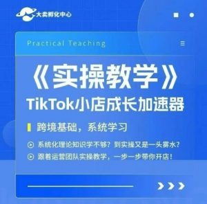 大卖家孵化中心TikTok实操课,TikTok小店成长加速器,跨境基础系统学习,一步一步带你开店-壹浩聊项目
