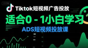 Tiktok短视频广告投放,适合0-1小白学习ADS短视频投放课-壹浩聊项目