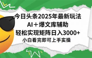 今日头条2025年最新玩法，一键生成爆款，轻松实现矩阵日入3000+-壹浩聊项目
