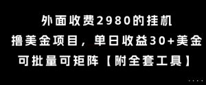 外面收费2980的挂G撸美金项目，单日收益30+美金，可批量可矩阵【揭秘】-壹浩聊项目