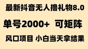 抖音无人撸礼物8.0玩法 全新风口 见效果快 全无人 单号当天产出2000+-壹浩聊项目
