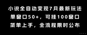 小说全自动变现7月玩法，单窗口50+，可挂100窗口，简单上手，全流程限时公布【揭秘】-壹浩聊项目
