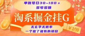 淘系掘金挂G项目，单账号日收益30~100+，多号多得，一个做了就有的项目【揭秘】-壹浩聊项目