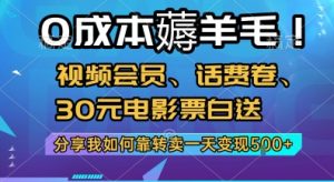 0成本薅羊毛!视频会员、话费卷、30元电影票白送，分享我如何靠转卖一天变现5张+【揭秘】-壹浩聊项目