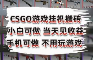 CSGO游戏挂G搬砖，小白纯手机即可操作，不用电脑打游戏，日入3张+，副业网创项目【揭秘】-壹浩聊项目