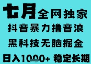 7月最新风口抖音无人直播撸音浪,长期稳定,非短期,全自动运行,低门槛无脑,日入1k+【揭秘】-壹浩聊项目