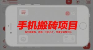 手机搬砖项目，有手就能做，亲测一小时几十，苹果安卓都可以-壹浩聊项目