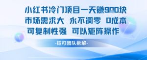 小红书冷门项目一天收益9张，市场需求大，0成本，可复制性强可以矩阵操作-壹浩聊项目