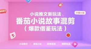 小说推文新玩法，番茄小说故事混剪(爆款借鉴玩法)-壹浩聊项目