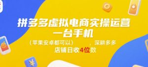 拼多多虚拟电商实操运营，一台手机(苹果安卓都可以)，深耕多多店铺日收4位数-壹浩聊项目