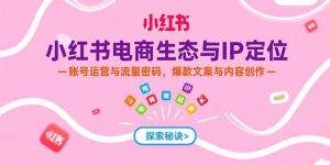 小红书电商生态与IP定位,账号运营与流量密码,爆款文案与内容创作-壹浩聊项目