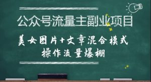 公众号流量主副业项目，美女图片+文章混合模式操作流量爆棚-壹浩聊项目