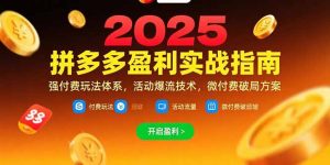 拼多多盈利实战指南,强付费玩法,活动爆流技术,微付费破局方案(更新7月-壹浩聊项目