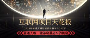 2025“互联网项目天花板”:不做韭菜,做镰刀!“月入 10W+ 普通人弯道…-壹浩聊项目