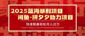2025 最新闲鱼蓝海暴利项目 快速粗暴单号日入1000+，保姆级教程-壹浩聊项目