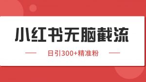 小红书截流同行客源，独家野路子获客玩法 日引200+暴力获客-壹浩聊项目
