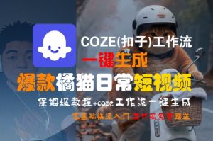 COZE(扣子)工作流一键生成爆款橘猫日常短视频，保姆级教程，零基础快速入门-壹浩聊项目