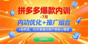 拼多多爆款内训-7月 内功优化+推广组合+自然流 30天掌握日销千单核心模型-壹浩聊项目