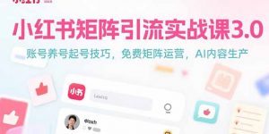 小红书矩阵引流实战课3.0：账号养号起号技巧，免裴矩阵运营，AI内容生产-壹浩聊项目