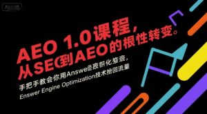 AEO 1.0 课程,从SEO到AE0的基命性转变,手把手教会你用AnswerEngineOptimization技术抢回流量-壹浩聊项目