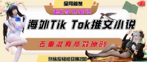 海外tiktok小说推文暴力项目，高停留率，高转化率，上手后一天搞顿饭钱不是问题-壹浩聊项目