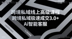 跨境私域线上高级课程,跨境私域极速成交3.0+Ai智能客服-壹浩聊项目