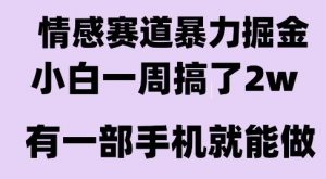 情感暴力掘金项目，新人操作一周挣了2W，长期稳定小白可做【揭秘】-壹浩聊项目