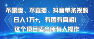 不露脸、不直播、抖音单条视频日入1W+，有图有真相！这个项目适合所有人操作-壹浩聊项目
