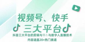 视频号、快手、抖音三大平台的剪辑与数字人直播技术,内容涵盖20+热门赛道-壹浩聊项目
