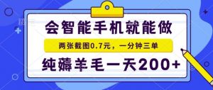 2025年零撸手机项目，二十秒一单，纯薅羊毛，一天200+做就有【揭秘】-壹浩聊项目