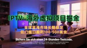 【海外虚拟项目掘金】日入100-200美刀,自己在家就可以闷声发大财,长期可做,工作室可复制扩大【揭秘】-壹浩聊项目