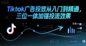 Tiktok广告投放从入门到精通,三位一体加强投流效果-壹浩聊项目