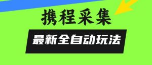 携程信息采集全自动玩法，0风控，无脑开干【揭秘】-壹浩聊项目